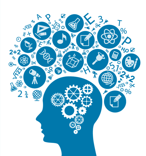 how human memory works
